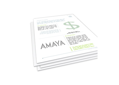 Amaya company report - Illustration
