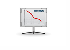 Cereus network traffic - Illustration